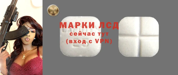 гидра Аркадак