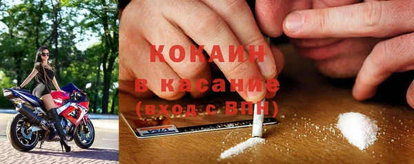 гидра Аркадак