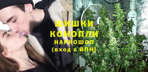 гидра Аркадак