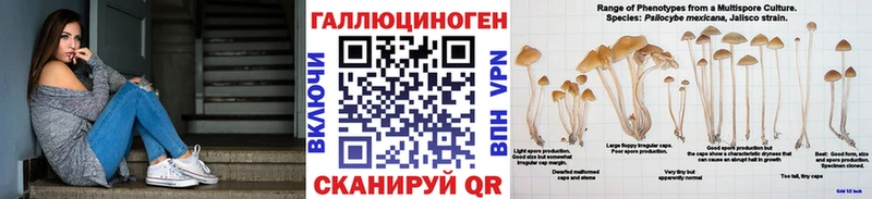 где купить наркоту  Артёмовск  Галлюциногенные грибы Magic Shrooms 