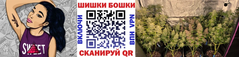 Шишки марихуана Amnesia  где можно купить наркотик  Артёмовск 
